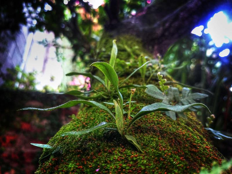 百年孤独<br>qyo4zwyv.cn 马孔多雨季